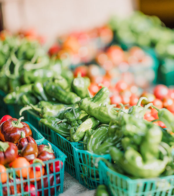 Navigating Illinois Food Safety Regulations
