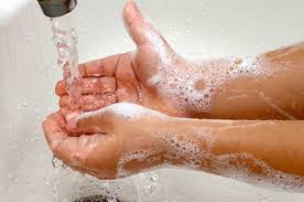 Illinois Food Handlers Training only $7: Proper Handwashing